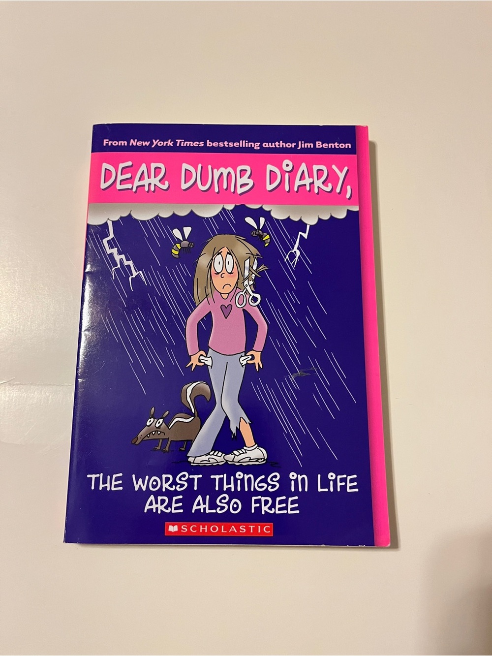 Scholastic Dear Dumb Diary #10 Jim Benton Paperback Book